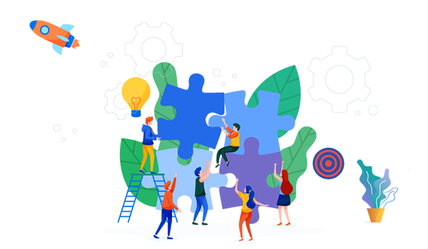 Expert Team